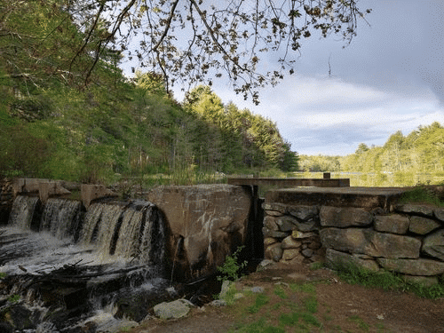 Wooded dam and waterfall